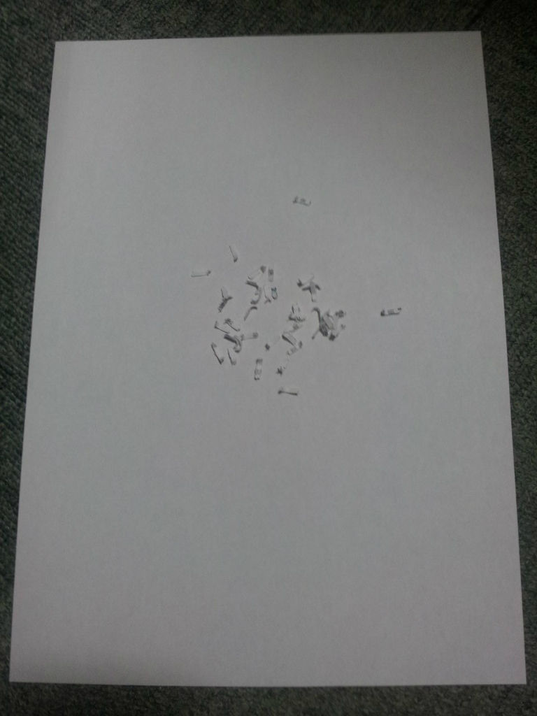 BlogPaint