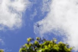飛行機