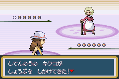 VS婆3
