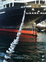 65ab750e.jpg