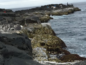 IMG_6794