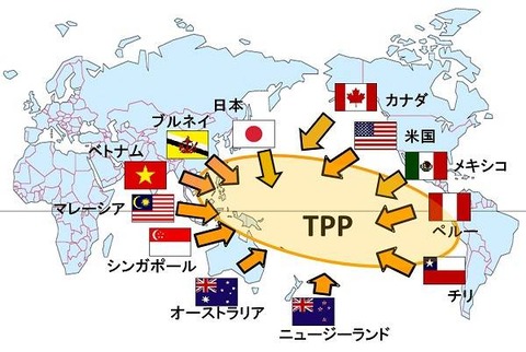 tpp-image (1)