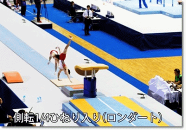 anigif100