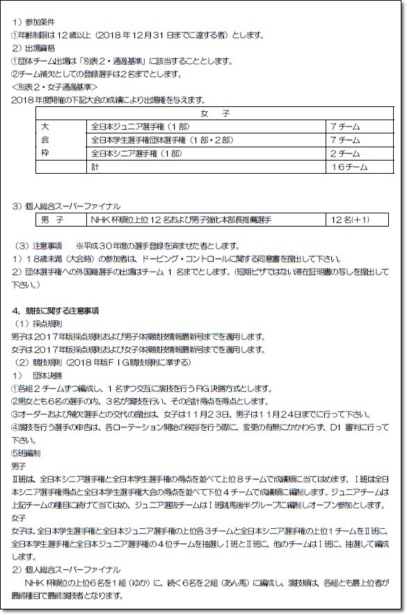 団体ファイナル要項2