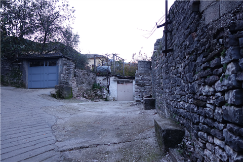 DSC05556
