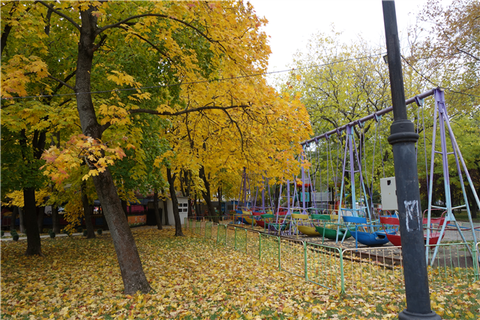 DSC02386