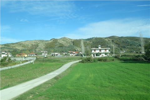 DSC05341
