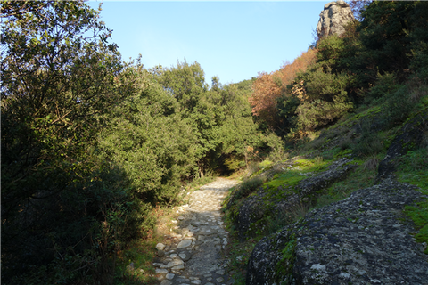 DSC05679