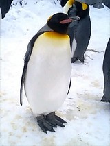 0729f1c3.jpg