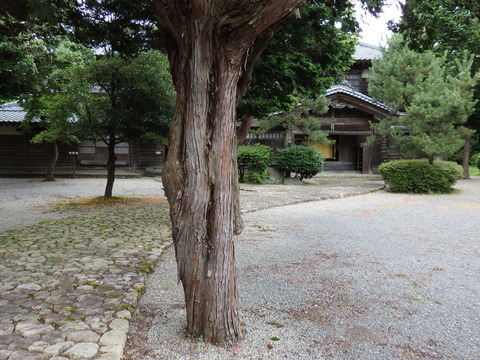 P7300876