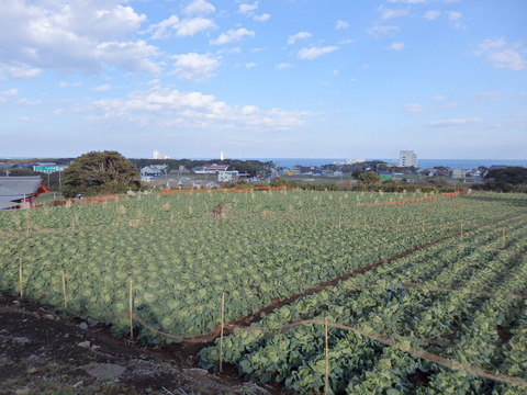 P3038737