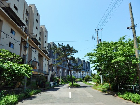 写真①