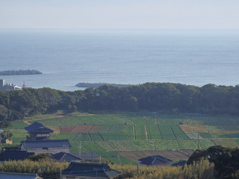 P3038744