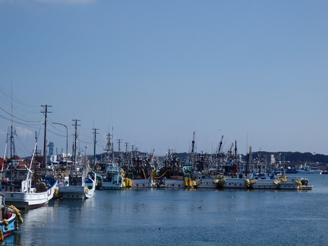 P3038654