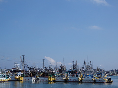 P3038656