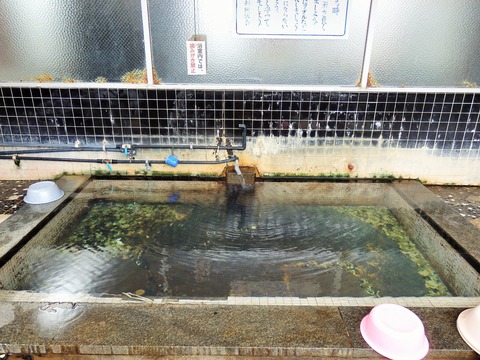 P7300868