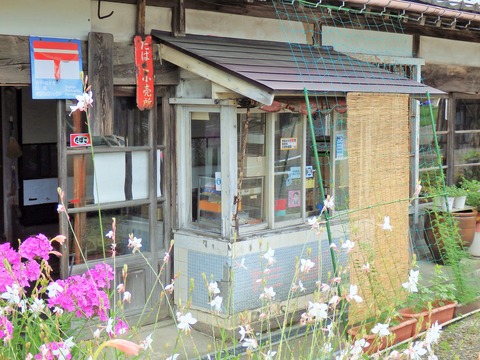 P7300856