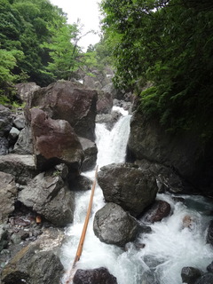 DSC01217