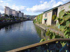 DSC00824