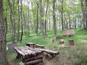 DSCN8238