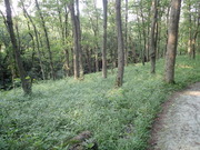 P7070036