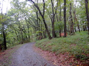 DSCN9090
