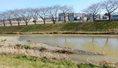 DSCN2732