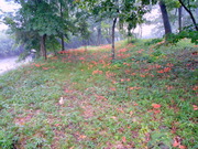 DSCN0247