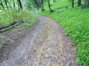 DSC00527