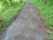 DSC00534