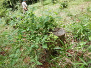 DSCN7267
