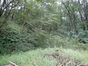 PA050002