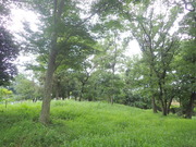 P9040001