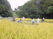 DSCN1550