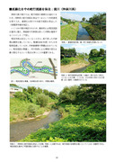 境川(多自然川づくり参考事例集10)