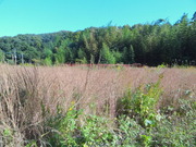 DSC09404