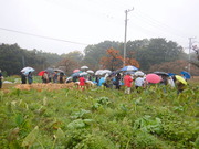 DSCN0087