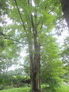 P9040017