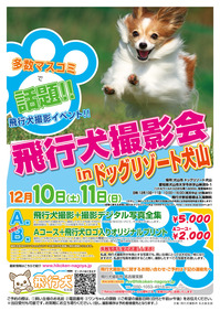 チラシ