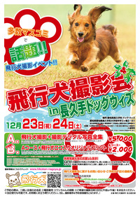チラシ