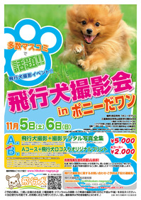 2011-11-05_06-ポニーだワン-チラシ_out