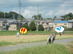 BlogPaint