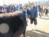 小僧さんが・・
