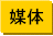 ボウリング関連のメディア