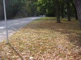 8a539531.jpg