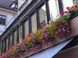 8e5252c1.jpg