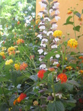 200