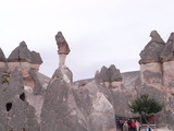 RIMG0117