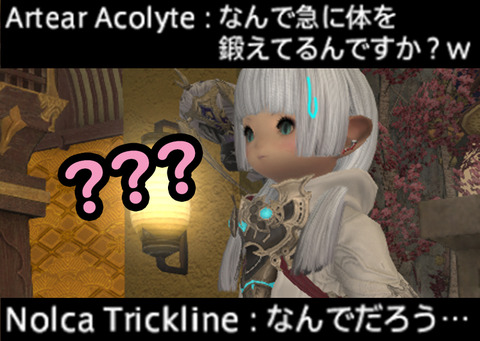 ffxiv_20190208_221620_917a