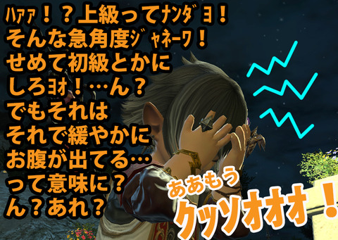 ffxiv_20161230_151544